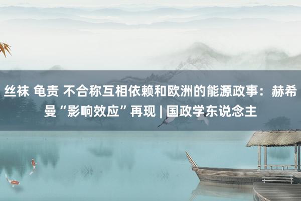 丝袜 龟责 不合称互相依赖和欧洲的能源政事：赫希曼“影响效应”再现 | 国政学东说念主