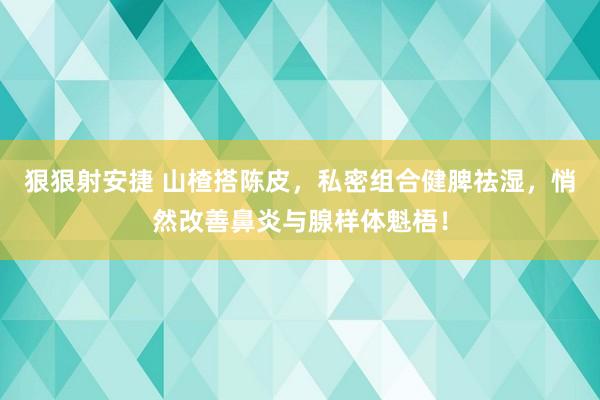 狠狠射安捷 山楂搭陈皮，私密组合健脾祛湿，悄然改善鼻炎与腺样体魁梧！