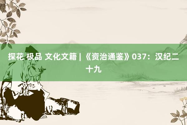 探花 极品 文化文籍 | 《资治通鉴》037：汉纪二十九