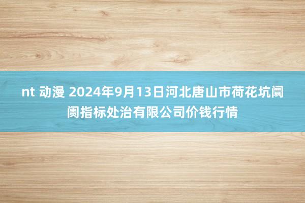 nt 动漫 2024年9月13日河北唐山市荷花坑阛阓指标处治有限公司价钱行情