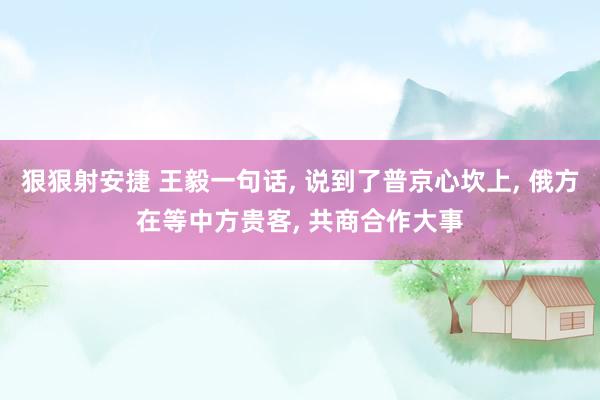 狠狠射安捷 王毅一句话， 说到了普京心坎上， 俄方在等中方贵客， 共商合作大事