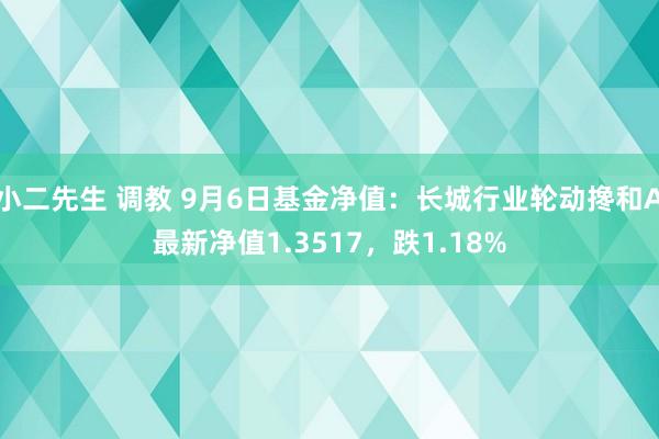 小二先生 调教 9月6日基金净值：长城行业轮动搀和A最新净值1.3517，跌1.18%