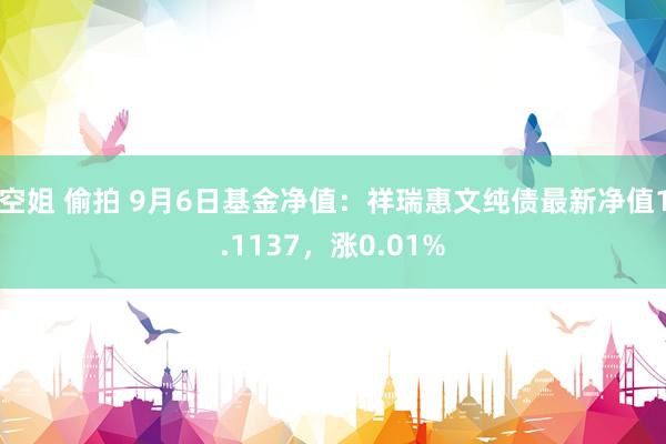 空姐 偷拍 9月6日基金净值：祥瑞惠文纯债最新净值1.1137，涨0.01%