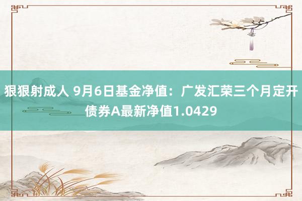 狠狠射成人 9月6日基金净值：广发汇荣三个月定开债券A最新净值1.0429