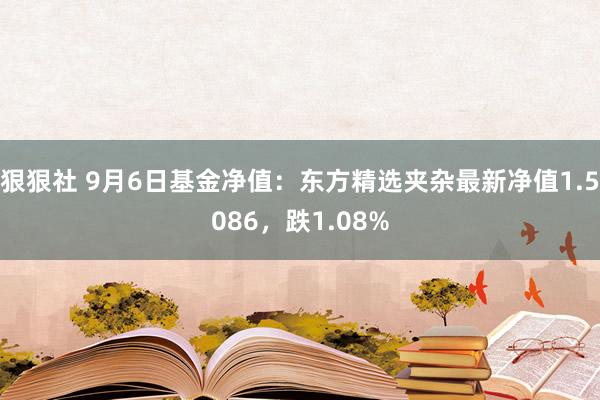 狠狠社 9月6日基金净值：东方精选夹杂最新净值1.5086，跌1.08%