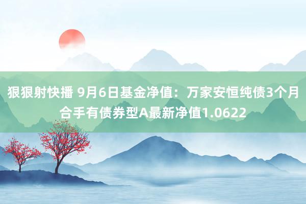 狠狠射快播 9月6日基金净值：万家安恒纯债3个月合手有债券型A最新净值1.0622