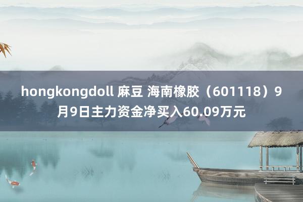 hongkongdoll 麻豆 海南橡胶（601118）9月9日主力资金净买入60.09万元