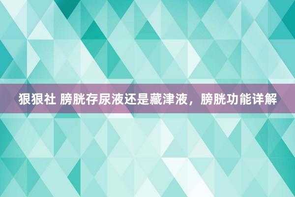 狠狠社 膀胱存尿液还是藏津液，膀胱功能详解