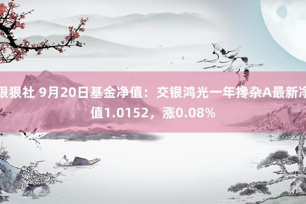 狠狠社 9月20日基金净值：交银鸿光一年搀杂A最新净值1.0152，涨0.08%