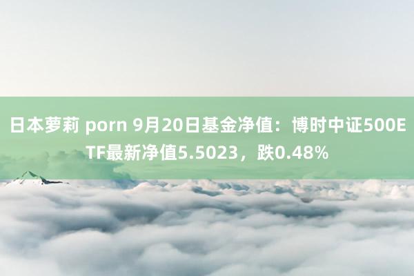 日本萝莉 porn 9月20日基金净值：博时中证500ETF最新净值5.5023，跌0.48%