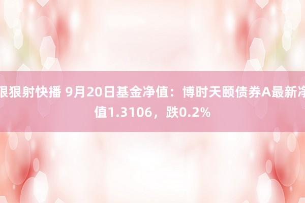 狠狠射快播 9月20日基金净值：博时天颐债券A最新净值1.3106，跌0.2%