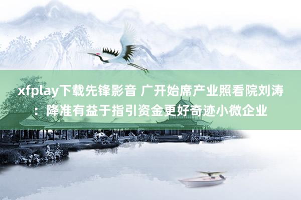 xfplay下载先锋影音 广开始席产业照看院刘涛：降准有益于指引资金更好奇迹小微企业