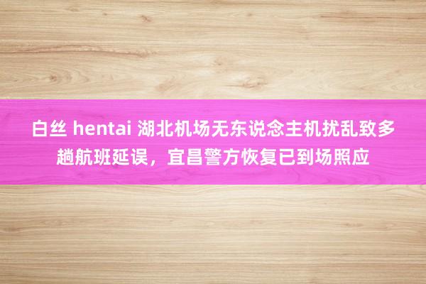 白丝 hentai 湖北机场无东说念主机扰乱致多趟航班延误，宜昌警方恢复已到场照应