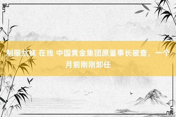 制服丝袜 在线 中国黄金集团原董事长被查，一个月前刚刚卸任