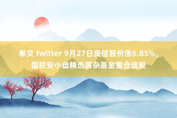 拳交 twitter 9月27日良信股份涨6.85%，国联安小盘精选羼杂基金重仓该股