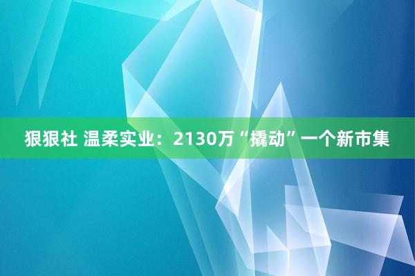 狠狠社 温柔实业：2130万“撬动”一个新市集