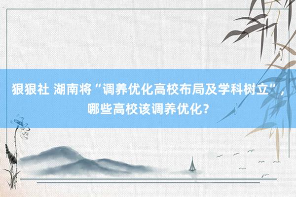 狠狠社 湖南将“调养优化高校布局及学科树立”，哪些高校该调养优化？