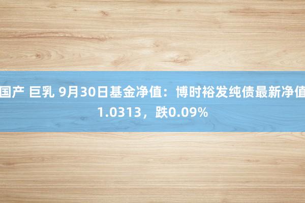 国产 巨乳 9月30日基金净值：博时裕发纯债最新净值1.0313，跌0.09%