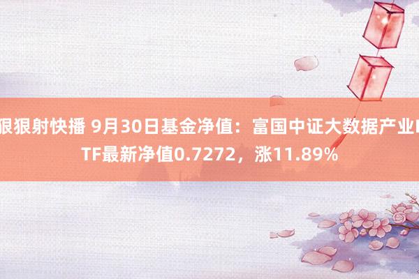 狠狠射快播 9月30日基金净值：富国中证大数据产业ETF最新净值0.7272，涨11.89%