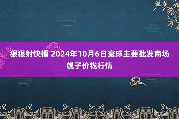 狠狠射快播 2024年10月6日寰球主要批发商场瓠子价钱行情