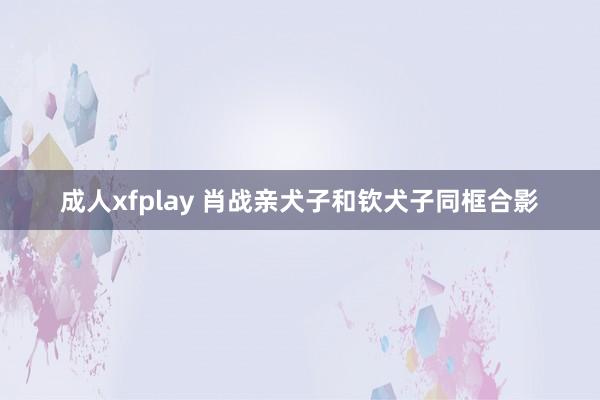 成人xfplay 肖战亲犬子和钦犬子同框合影