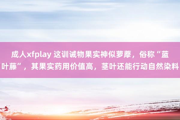 成人xfplay 这训诫物果实神似萝藦，俗称“蓝叶藤”，其果实药用价值高，茎叶还能行动自然染料