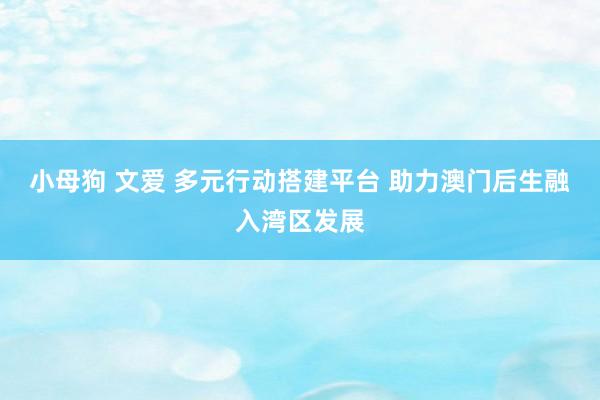 小母狗 文爱 多元行动搭建平台 助力澳门后生融入湾区发展