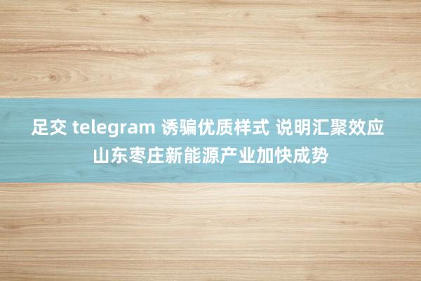 足交 telegram 诱骗优质样式 说明汇聚效应 山东枣庄新能源产业加快成势