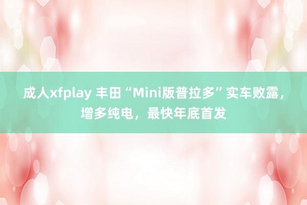 成人xfplay 丰田“Mini版普拉多”实车败露，增多纯电，最快年底首发