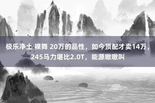 极乐净土 裸舞 20万的品性，如今顶配才卖14万，245马力堪比2.0T，能源嗷嗷叫