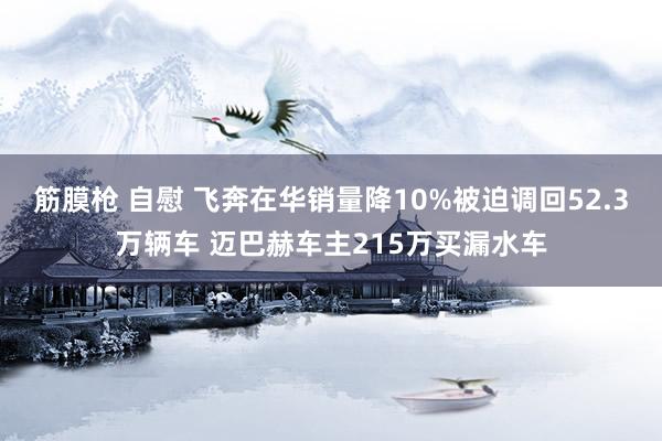 筋膜枪 自慰 飞奔在华销量降10%被迫调回52.3万辆车 迈巴赫车主215万买漏水车