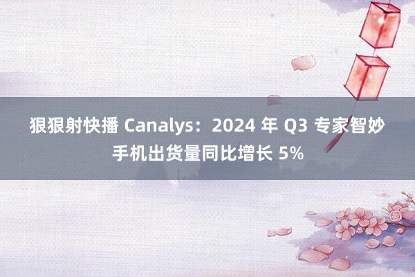 狠狠射快播 Canalys：2024 年 Q3 专家智妙手机出货量同比增长 5%