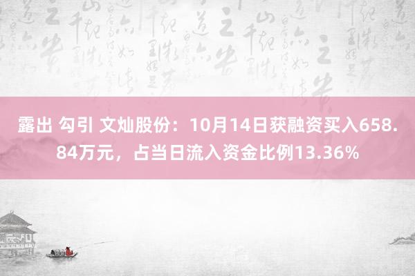 露出 勾引 文灿股份：10月14日获融资买入658.84万元，占当日流入资金比例13.36%