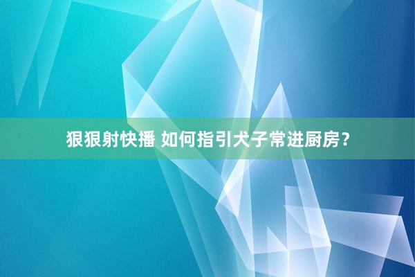 狠狠射快播 如何指引犬子常进厨房？