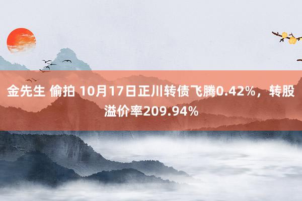 金先生 偷拍 10月17日正川转债飞腾0.42%，转股溢价率209.94%