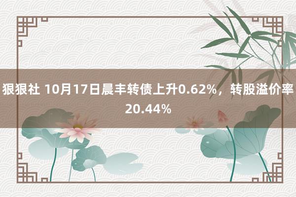 狠狠社 10月17日晨丰转债上升0.62%，转股溢价率20.44%