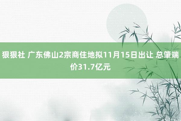 狠狠社 广东佛山2宗商住地拟11月15日出让 总肇端价31.7亿元