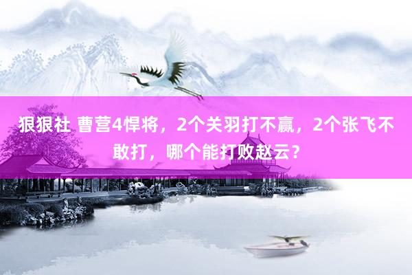 狠狠社 曹营4悍将，2个关羽打不赢，2个张飞不敢打，哪个能打败赵云？