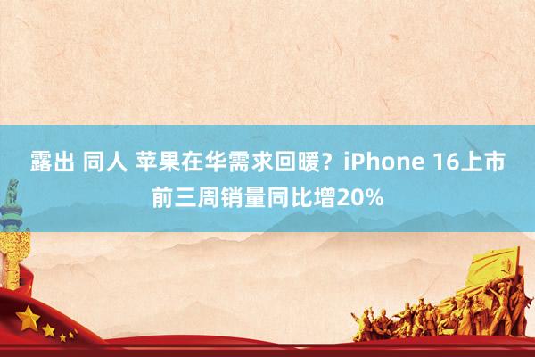 露出 同人 苹果在华需求回暖？iPhone 16上市前三周销量同比增20%