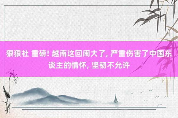 狠狠社 重磅! 越南这回闹大了， 严重伤害了中国东谈主的情怀， 坚韧不允许