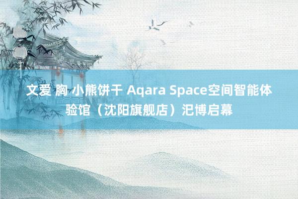 文爱 胸 小熊饼干 Aqara Space空间智能体验馆（沈阳旗舰店）汜博启幕