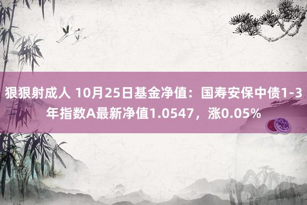 狠狠射成人 10月25日基金净值：国寿安保中债1-3年指数A最新净值1.0547，涨0.05%