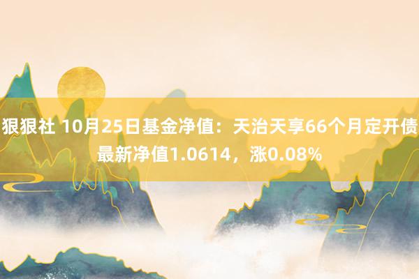 狠狠社 10月25日基金净值：天治天享66个月定开债最新净值1.0614，涨0.08%