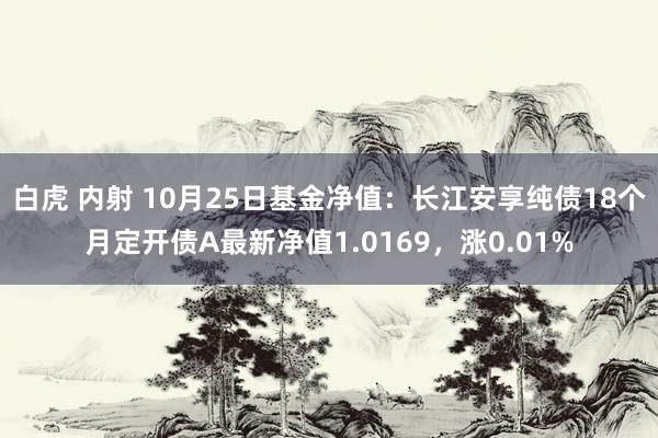 白虎 内射 10月25日基金净值：长江安享纯债18个月定开债A最新净值1.0169，涨0.01%