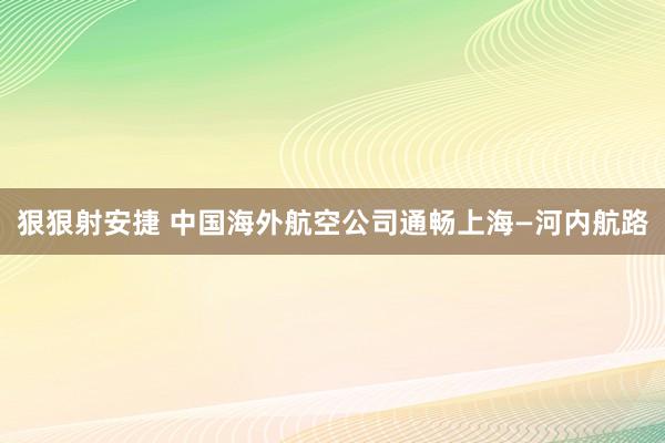 狠狠射安捷 中国海外航空公司通畅上海—河内航路