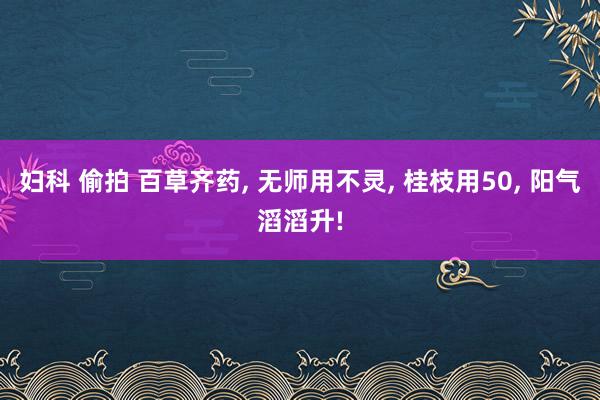 妇科 偷拍 百草齐药， 无师用不灵， 桂枝用50， 阳气滔滔升!