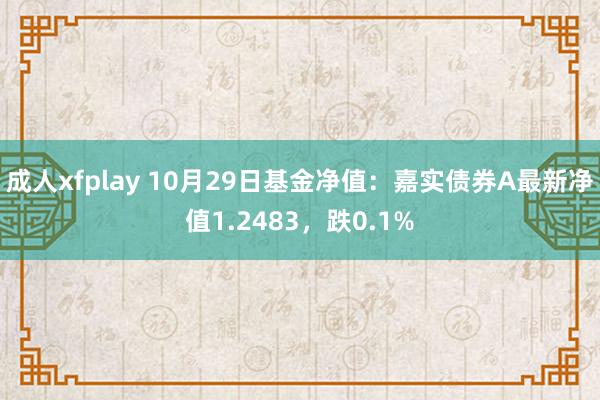 成人xfplay 10月29日基金净值：嘉实债券A最新净值1.2483，跌0.1%