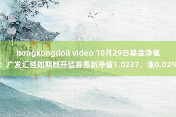 hongkongdoll video 10月29日基金净值：广发汇佳如期敞开债券最新净值1.0237，涨0.02%