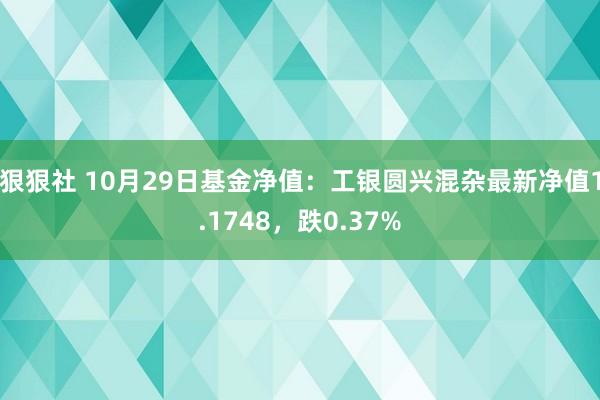 狠狠社 10月29日基金净值：工银圆兴混杂最新净值1.1748，跌0.37%