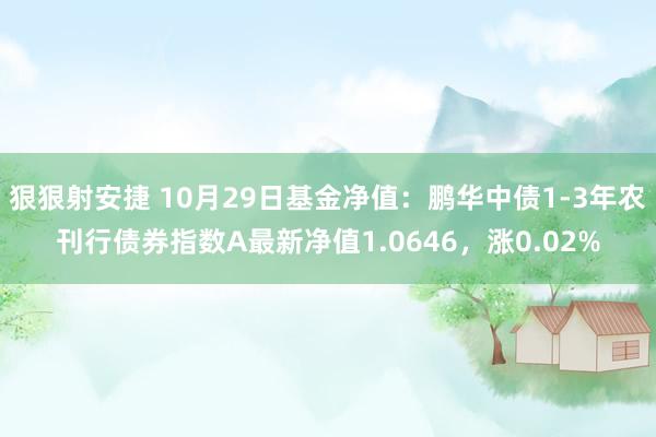 狠狠射安捷 10月29日基金净值：鹏华中债1-3年农刊行债券指数A最新净值1.0646，涨0.02%